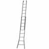 Dirks 2 delige opsteekladder 2x10 gecoat